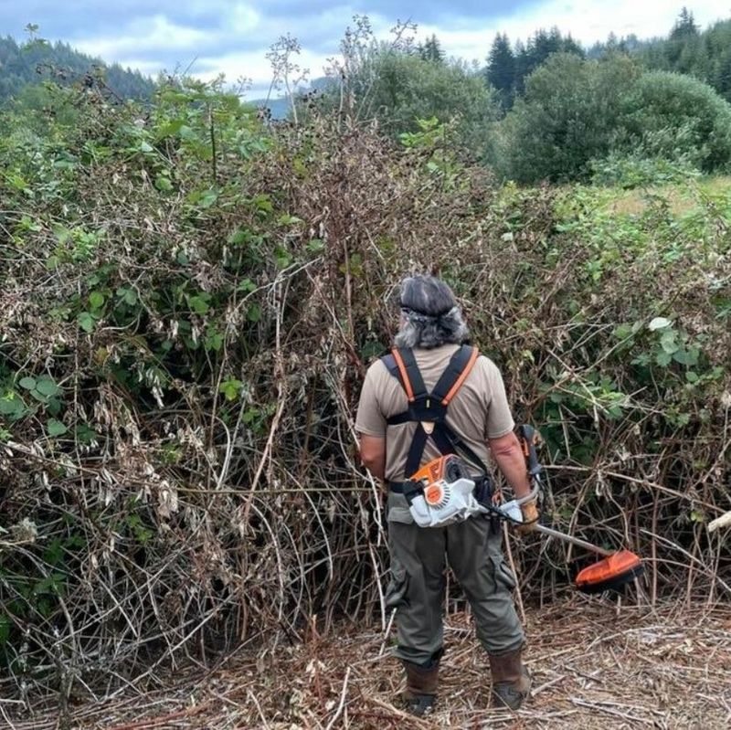 Cutting Canes Does Not Remove The Real Problem Cutting Canes Does Not Remove The Real Problem