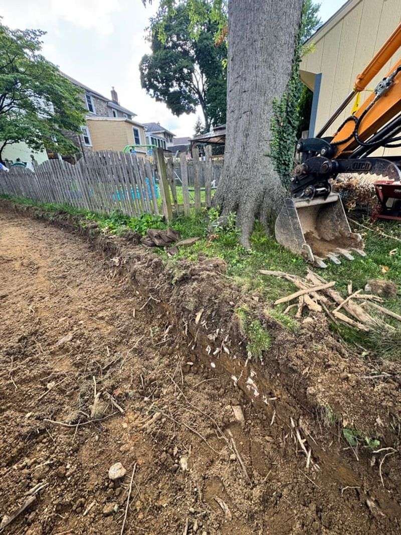 Cutting Roots Yourself Can Create A Bigger Problem