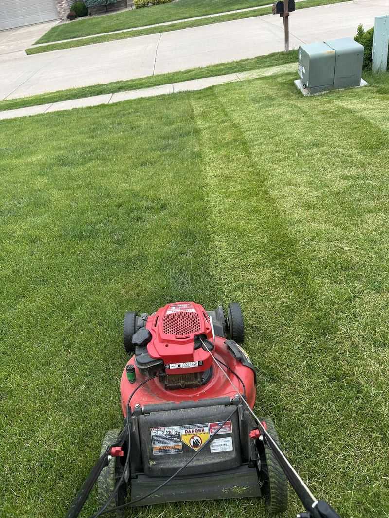 Cutting The Lawn Way Too Short