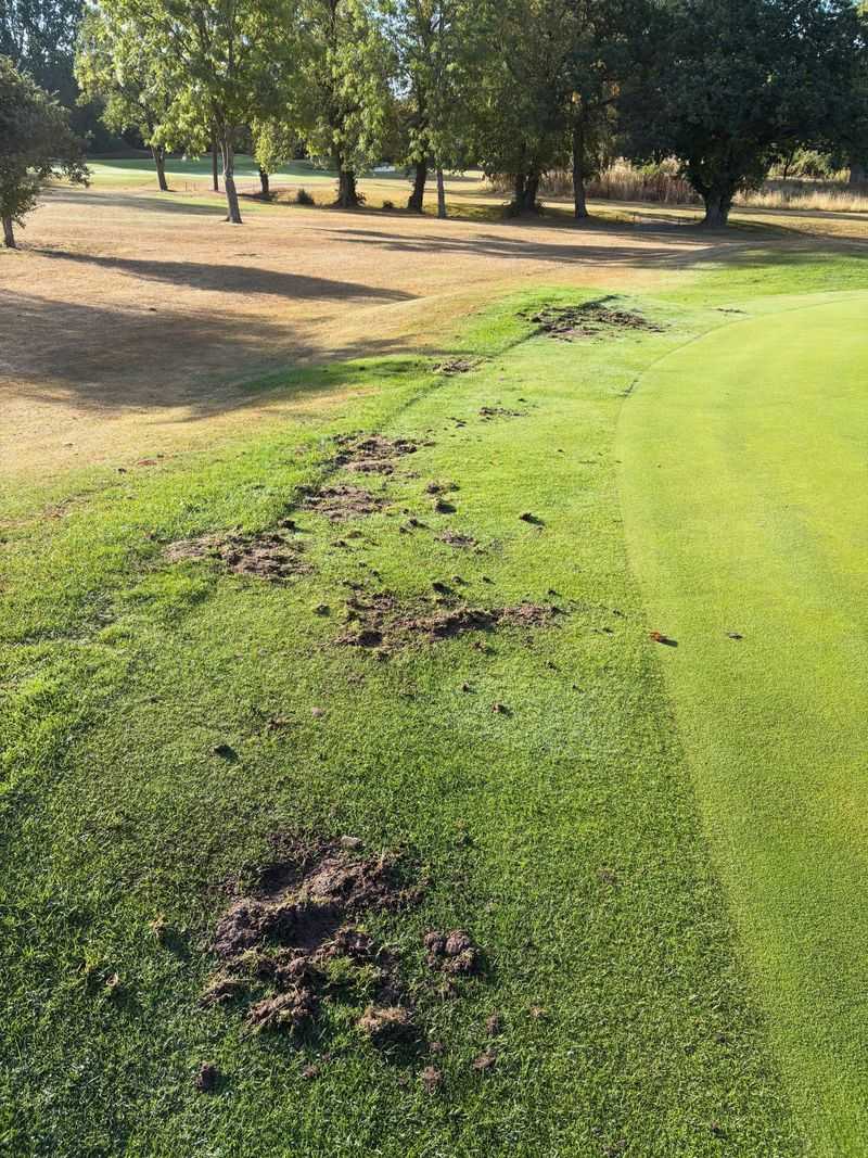 Damage Patterns That Point To Animals Rather Than Drought