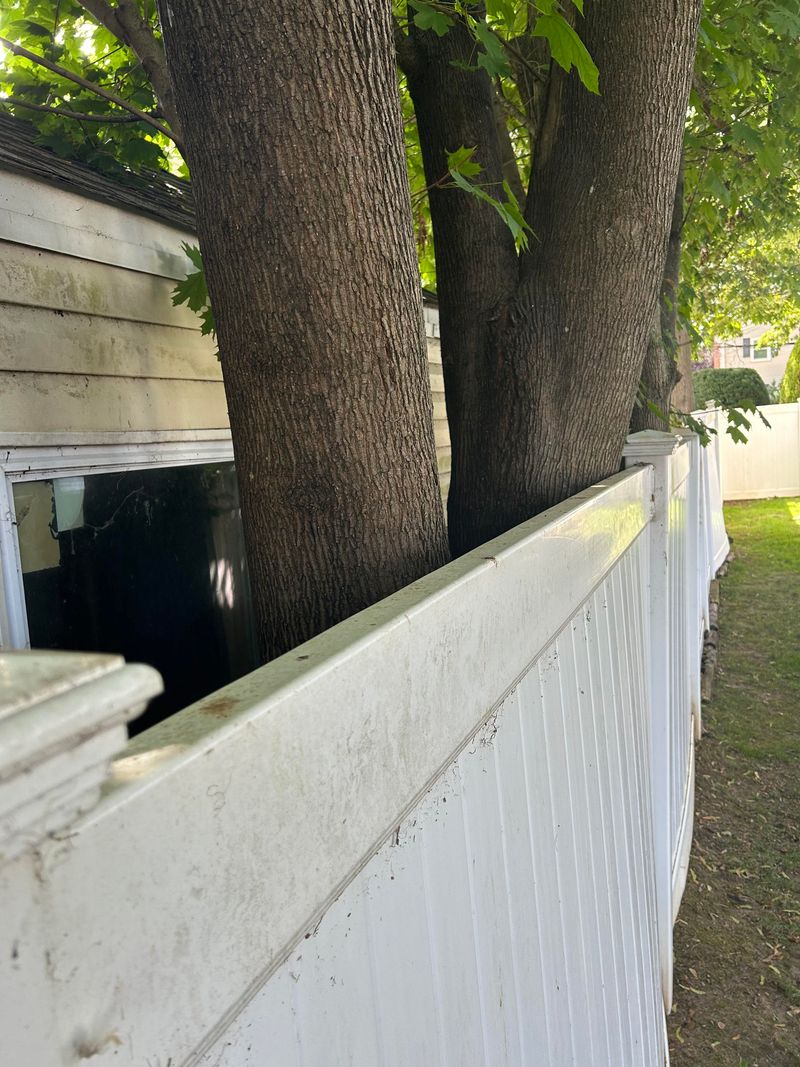 Damaged Fences Can Turn Annoyance Into A Real Dispute Damaged Fences Can Turn Annoyance Into A Real Dispute