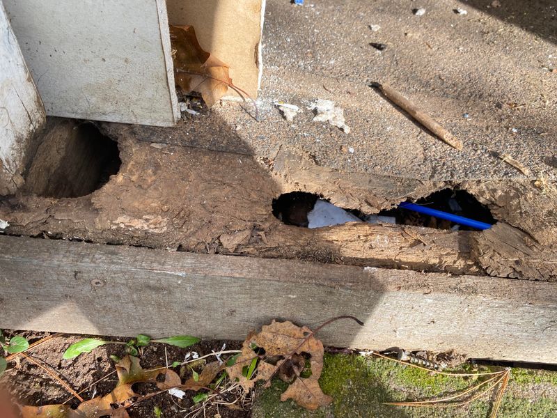 Dark Gaps Between Stored Items Become Nesting Spots