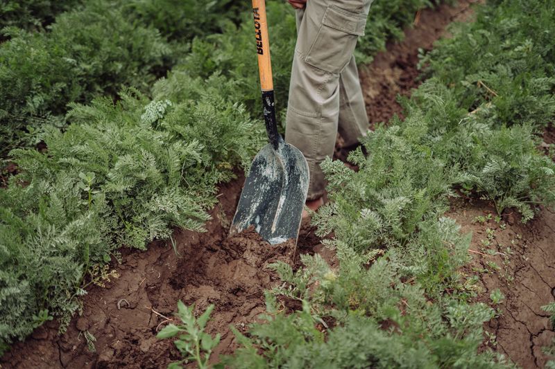 Dig A Shallow Trench To Anchor The Base Dig A Shallow Trench To Anchor The Base