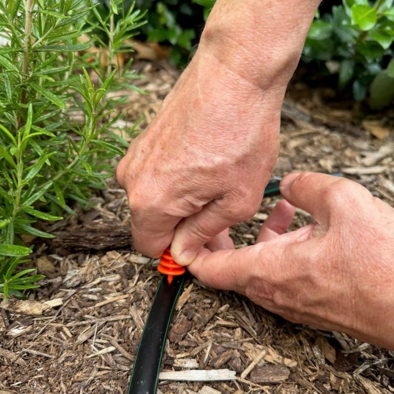 Direct-To-Soil Evening Irrigation Carries Less Foliar Disease Risk