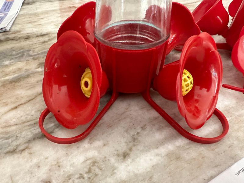 Dirty Feeders Can Send Hummingbirds Elsewhere