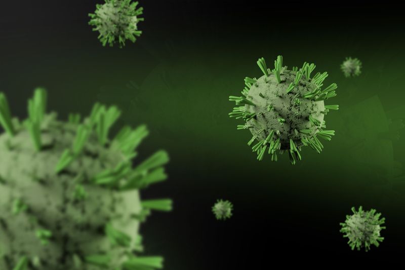 Disease Pathogens Spread Faster In Warm Weather