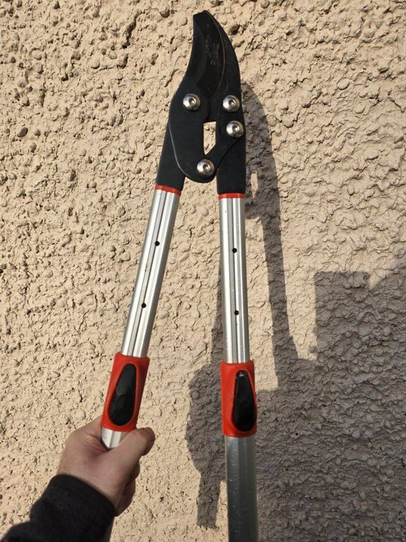 Disinfect Pruning Tools Before Every Cut Disinfect Pruning Tools Before Every Cut