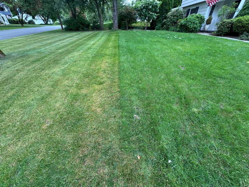 Do Not Push Growth With Extra Nitrogen Do Not Push Growth With Extra Nitrogen