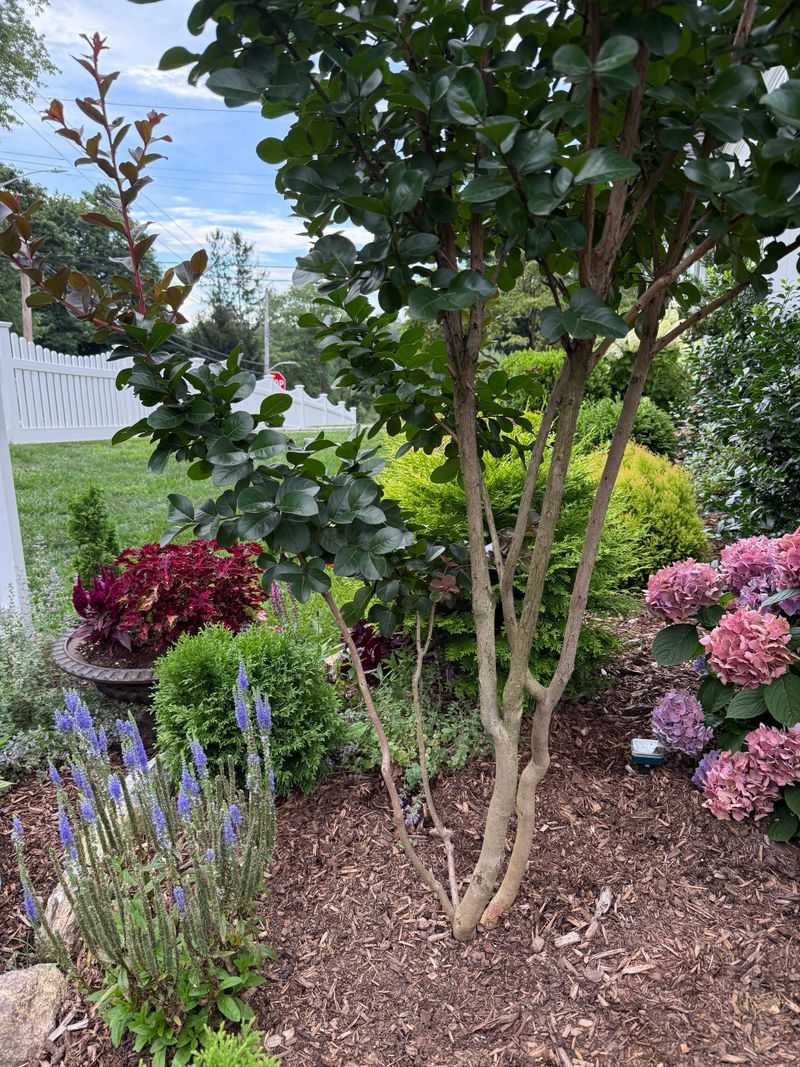 Do Not Turn Deadheading Into Heavy Pruning