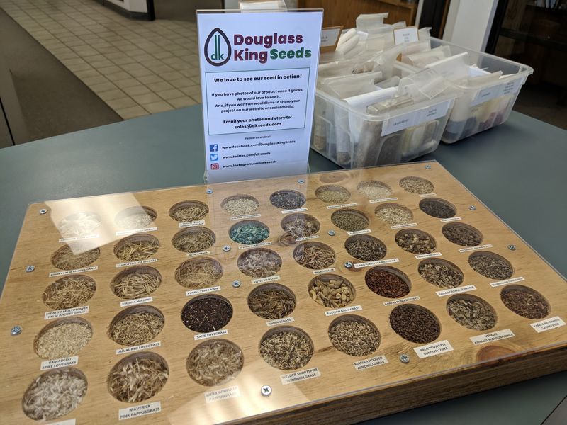 Douglass King Seeds - San Antonio