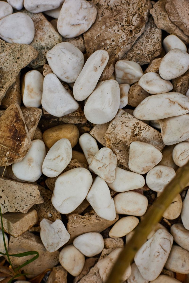 Drainage Slows Down When Pebbles Compact Into Soil Drainage Slows Down When Pebbles Compact Into Soil