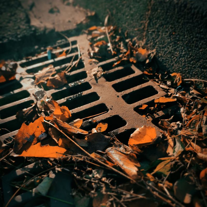 Drainage Systems Clog With Debris Buildup