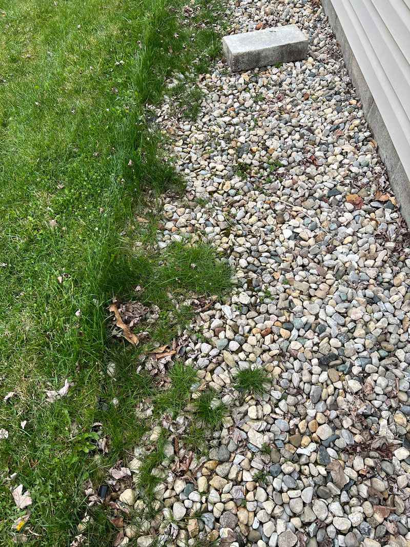 Drier Conditions Make Yards Less Inviting Drier Conditions Make Yards Less Inviting