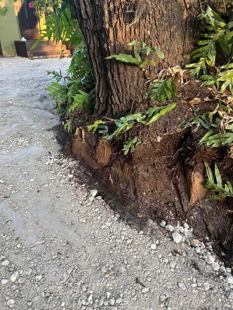Driveway Damage Can Make The Dispute More Serious