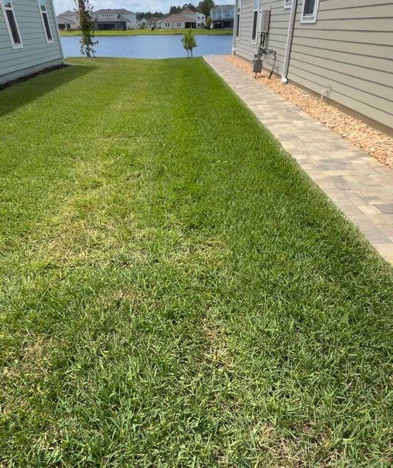 Drought-Looking Patches After Rain Should Get Your Attention