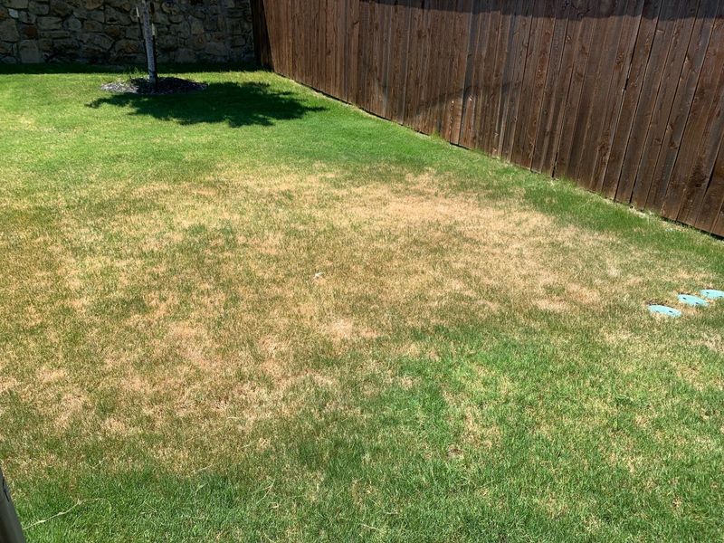 Drought Stress Appears When Soil Stays Too Dry Drought Stress Appears When Soil Stays Too Dry