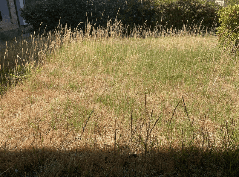 Dry Grass Becomes Easy Fuel By September Dry Grass Becomes Easy Fuel By September