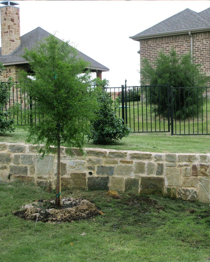 Dry Ground Works Better Than Most Gardeners Expect Dry Ground Works Better Than Most Gardeners Expect