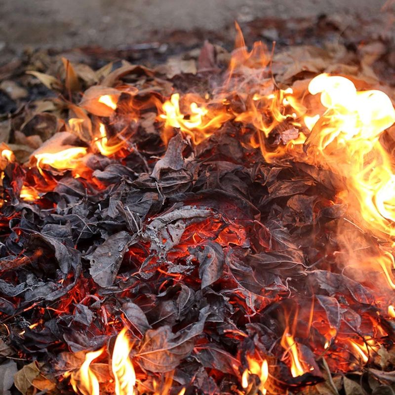 Dry Leaves And Needles Can Smolder Before You Notice