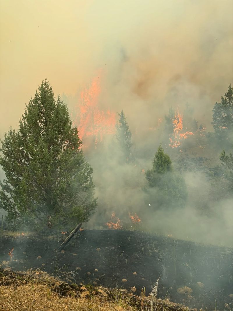 Dry Leaves Turn Into Fast-Moving Fire Fuel