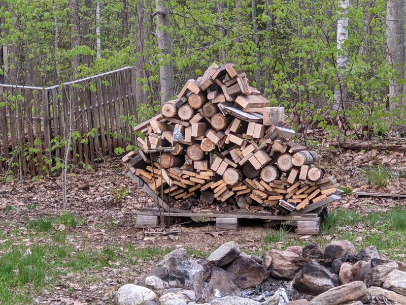 Dry Or Seasoned Firewood Is Not Automatically Safe To Move Dry Or Seasoned Firewood Is Not Automatically Safe To Move