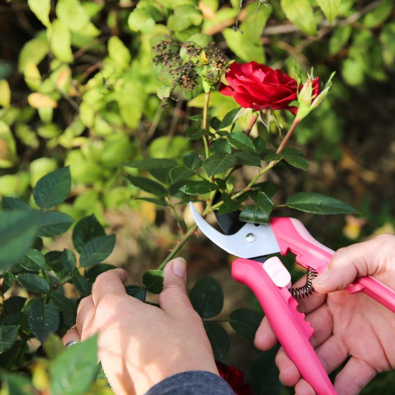 Dull Tools Increase Wound Exposure In Hot Conditions Dull Tools Increase Wound Exposure In Hot Conditions