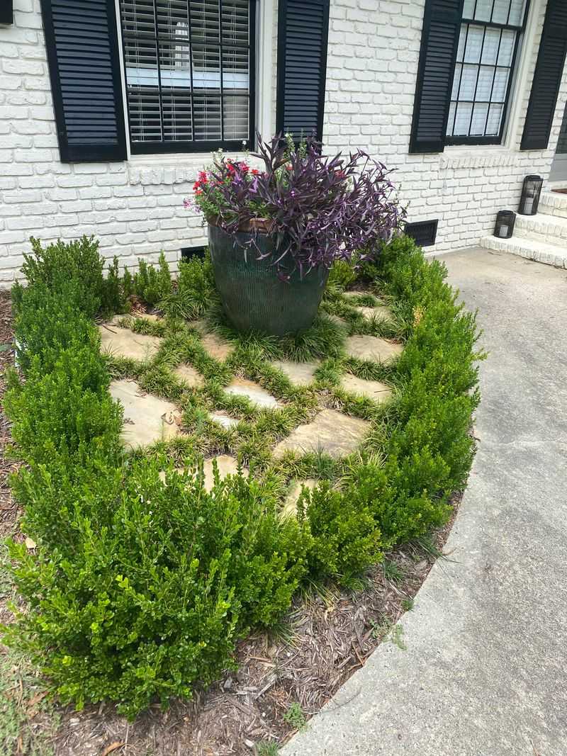 Dwarf Mondo Grass Stays Tidy In Shaded Spots