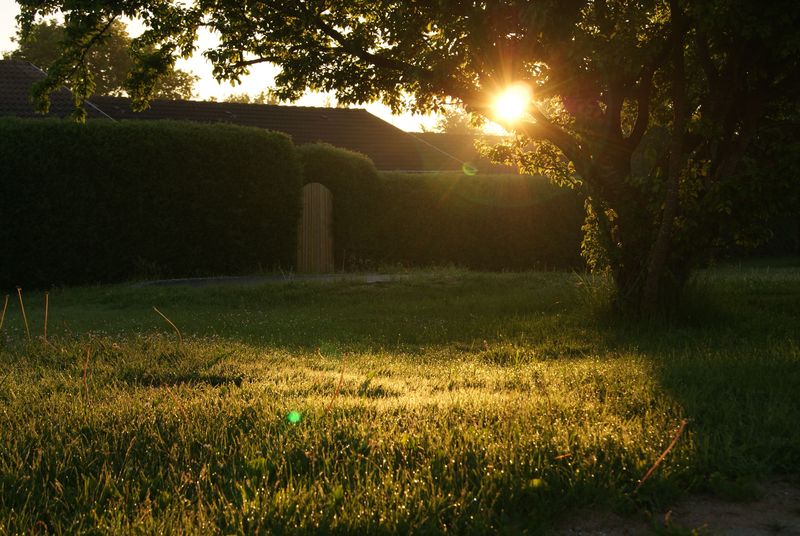 Early Morning And Evening Are The Safer Windows Early Morning And Evening Are The Safer Windows
