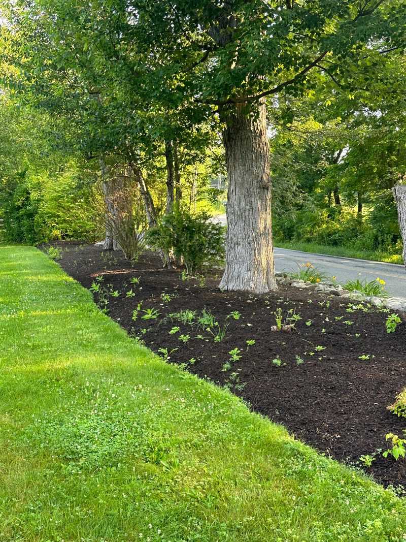 Edges Along Beds And Walkways Often Get Overlooked Edges Along Beds And Walkways Often Get Overlooked