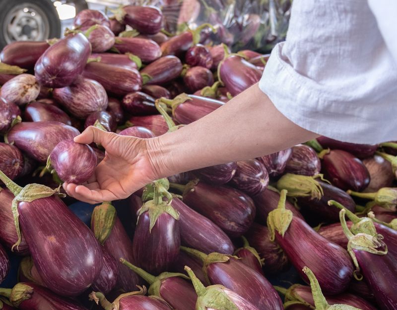 Eggplant Eggplant
