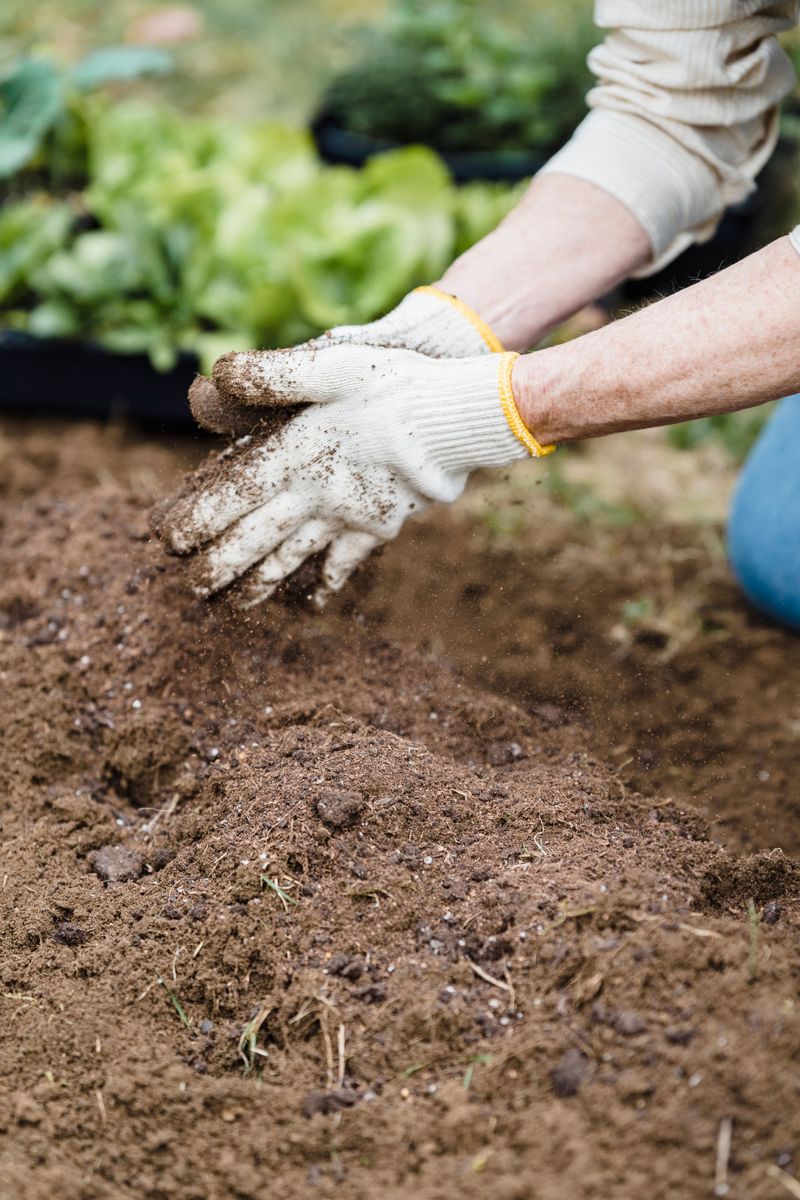 Enriching Soil Before The Fall Planting