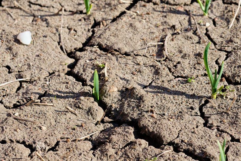 Evaporation's Role In Concentrating Salts Near The Surface Evaporation's Role In Concentrating Salts Near The Surface