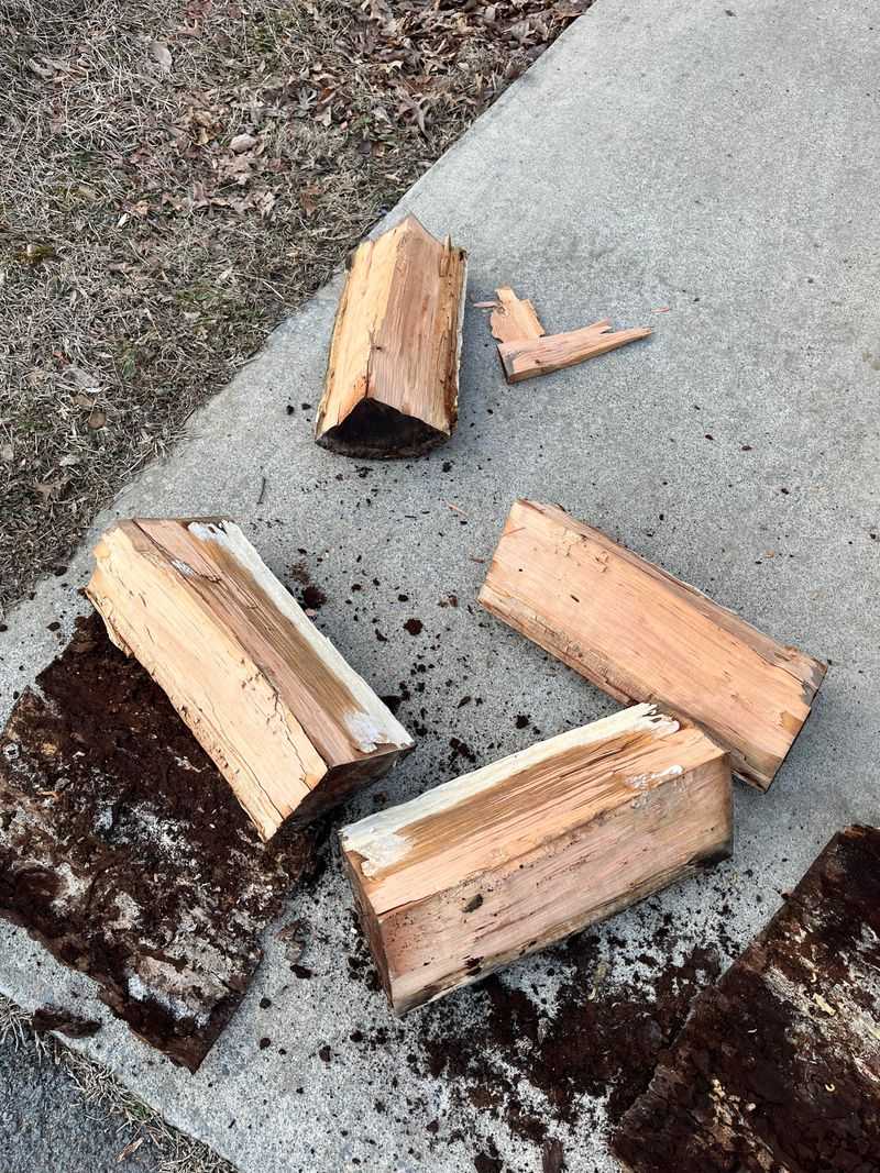 Even Moving Firewood Across Michigan Can Spread Problems Even Moving Firewood Across Michigan Can Spread Problems