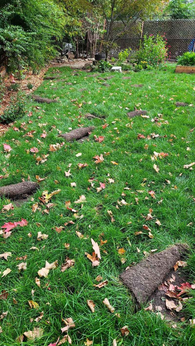 Evening Watering And Its Hidden Consequences