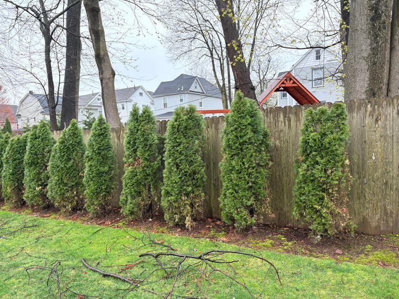 Evergreen Structure Gives The Rest Of The Garden A Backdrop