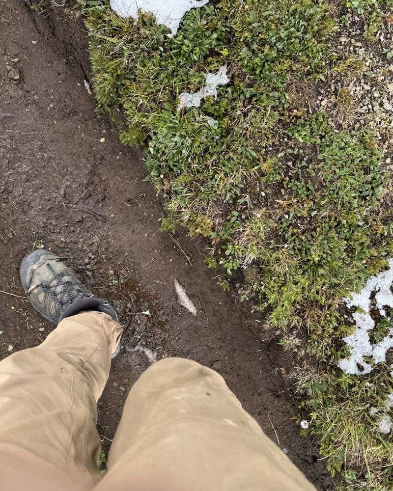 Every Footstep Compresses Wet Soil Every Footstep Compresses Wet Soil