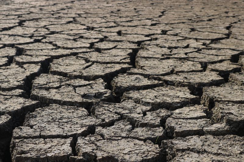 Extended Heat Stress Thickens Skin As Protection Extended Heat Stress Thickens Skin As Protection