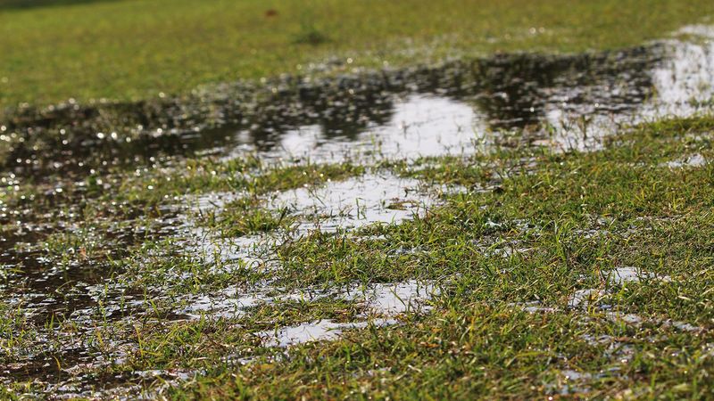 Extra Irrigation Keeps A Rain-Soaked Root Zone In Trouble Extra Irrigation Keeps A Rain-Soaked Root Zone In Trouble