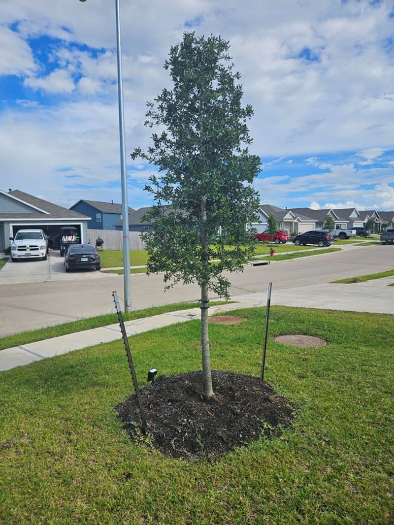 Fall Makes Irrigation Easier To Manage