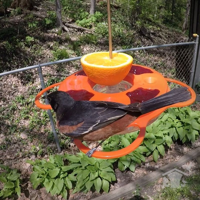 Fall Migration Has Already Started