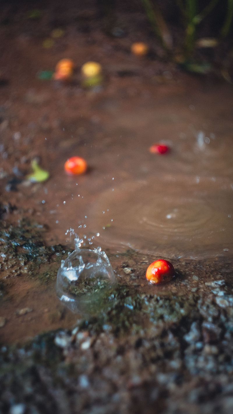 Fall Rainfall Keeps Soil Moisture Steady
