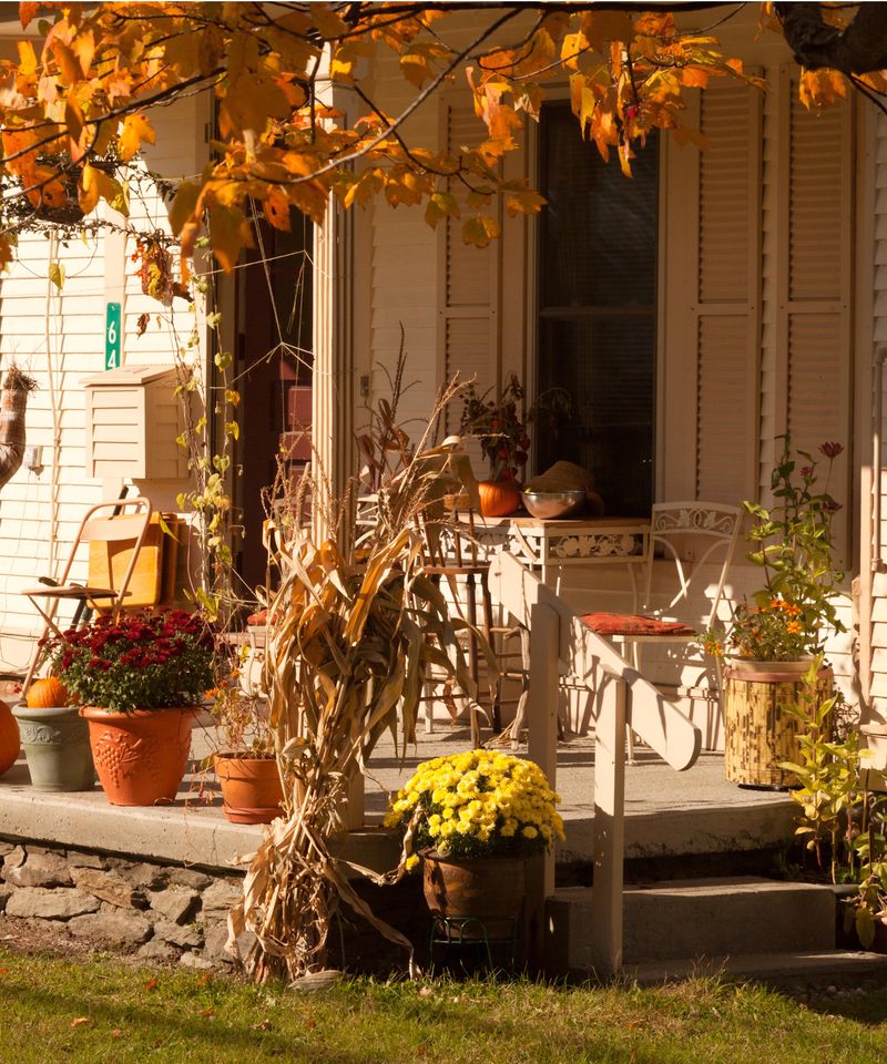 Fallen Leaves Turn The Space Under Pots Into Better Shelter