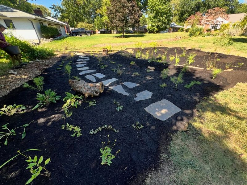 Feed Only When Plants Actually Need It Feed Only When Plants Actually Need It