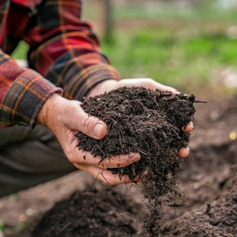 Feed The Soil With Compost