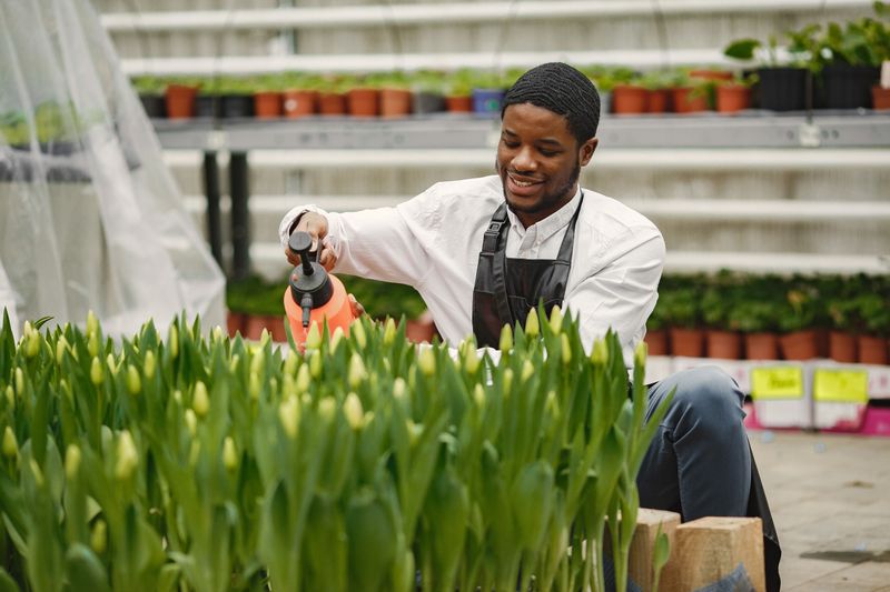 Feed With A Bloom-Boosting Fertilizer Feed With A Bloom-Boosting Fertilizer