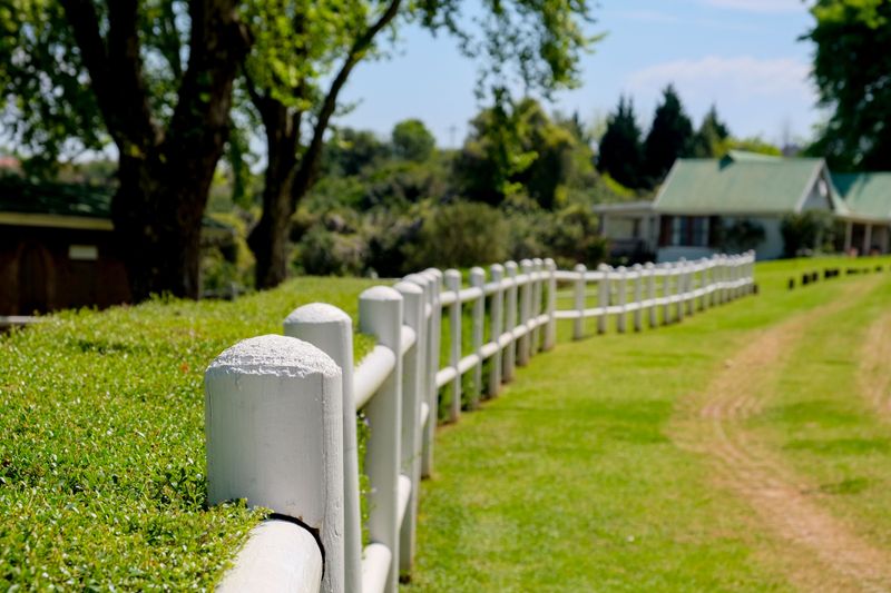 Fences And Hedges Often Need Mutual Agreement