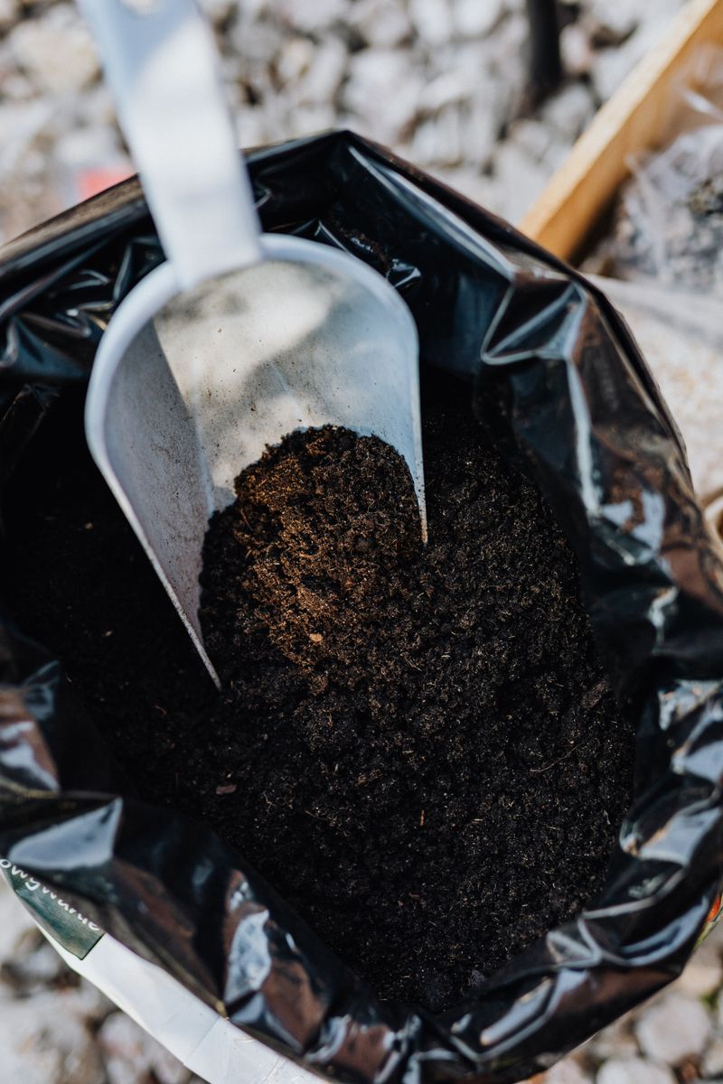 Fertilize Lightly Each Spring Fertilize Lightly Each Spring