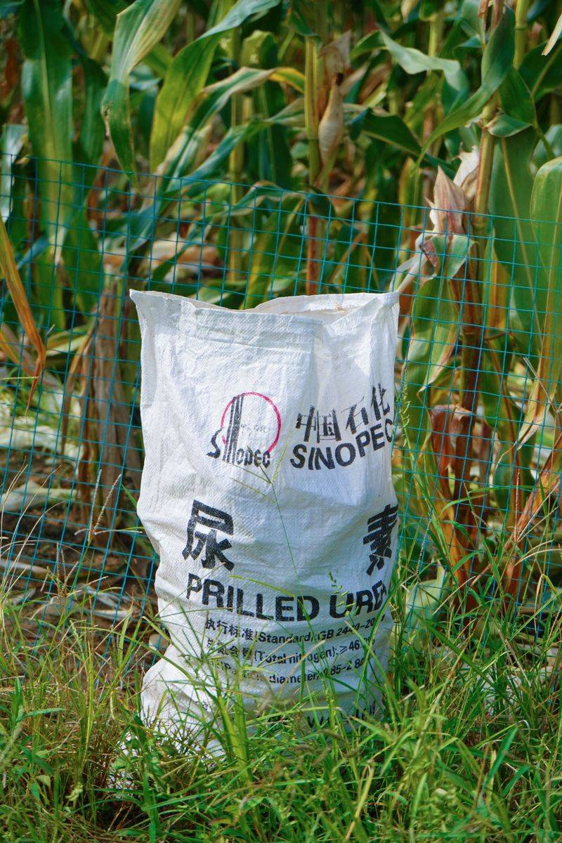 Fertilizer Overuse Harming The Lawn Fertilizer Overuse Harming The Lawn