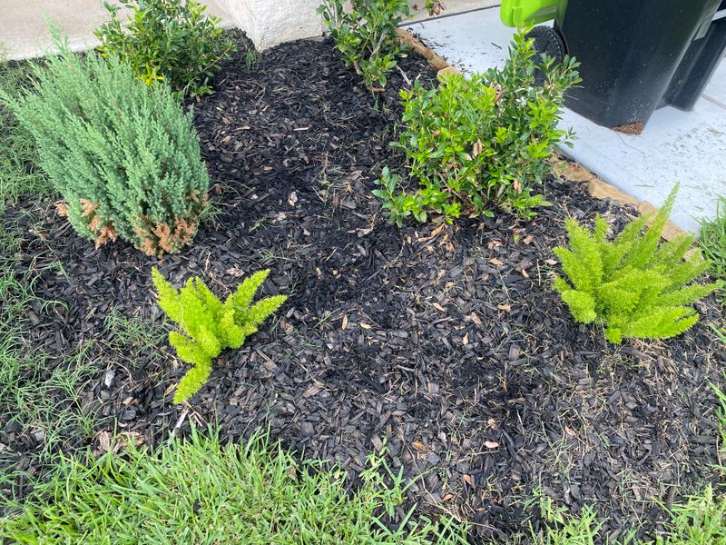 Fill Thin Spots Before August Weeds Find An Opening Fill Thin Spots Before August Weeds Find An Opening