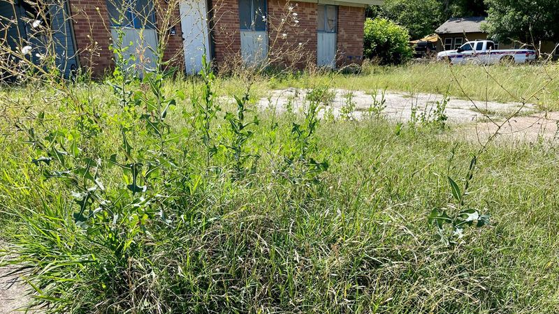 Fire Officials May Inspect Before Issuing A Fine